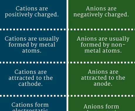 10 Key Differences Between Cations and Anions: A Best Complete Chemistry Guide