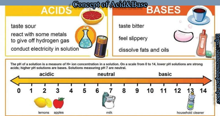 Acids and Bases: 7 Powerful Differences Every Student Should Know